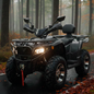Cuatrimoto ATV 300cc Gris