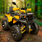 Cuatrimoto Hunter AFC 250cc Amarillo