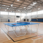 Mesa de Ping Pong Profesional