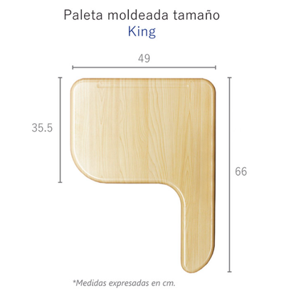 Silla Class Universitaria con Bandeja King